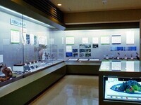 写真：第7回特別展「酒津八幡山と川原の自然」展示のようす